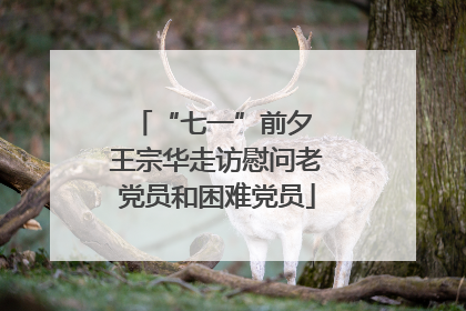 “七一”前夕 王宗华走访慰问老党员和困难党员